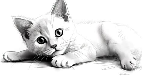 kedi yavrusu çizimi